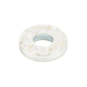 Ring d=4 - Vetus - CT30059