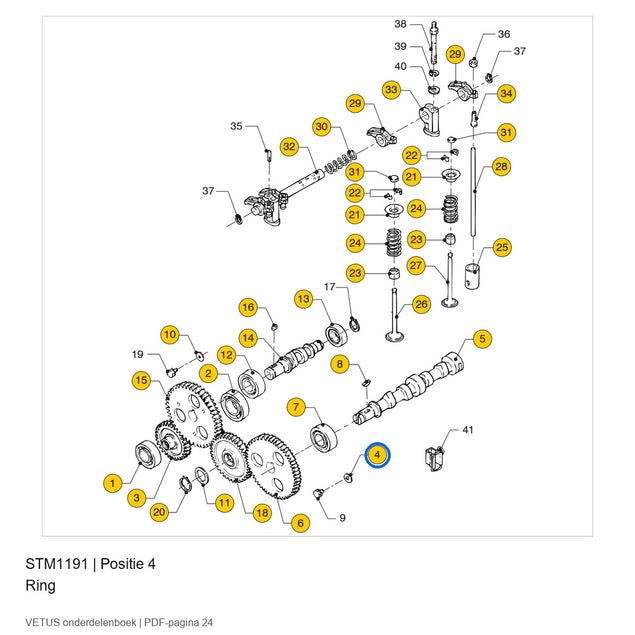 Ring - Vetus - STM1191